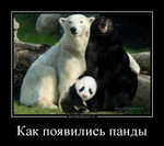 Демотиватор Как появились панды  - 2013-5-11