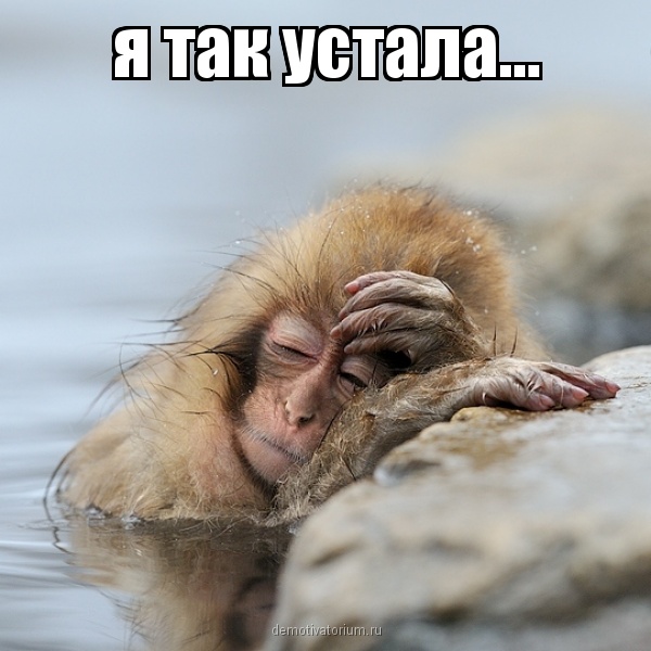 Картинки, картинки я устала от всего смешные