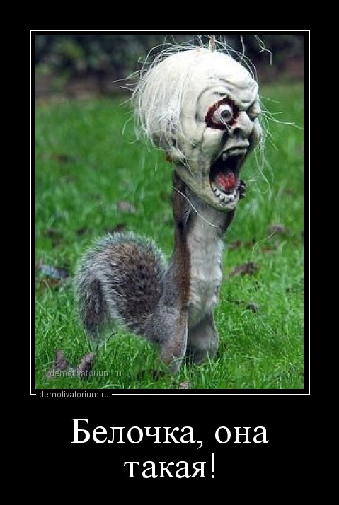 https://demotivatorium.ru/sstorage/3/2013/11/18195109939813/1811131951091450.jpg