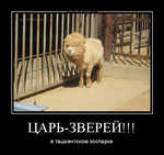 Демотиватор ЦАРЬ-ЗВЕРЕЙ!!! в ташкентском зоопарке