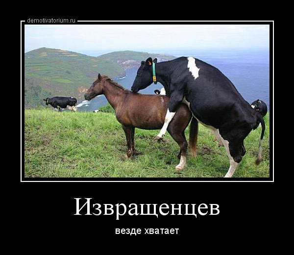 Любимой подруге, извращенец приколы картинки