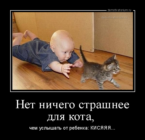 Страшнее бабы зверя нет картинки
