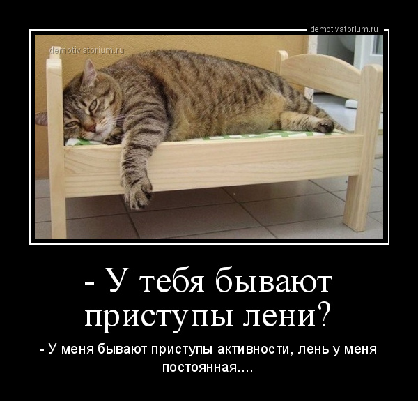 Картинки про лень прикольные