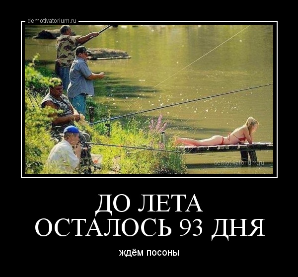 Осталось до лета картинки прикольные