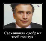 Демотиватор Саакашвили одобряет твой галстук.  - 2014-3-04