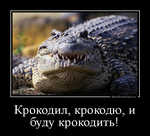 Демотиватор Крокодил, крокодю, и буду крокодить! 