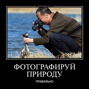 https://demotivatorium.ru/sstorage/3/2014/05/11082916507668/tmb_demotivatorium_ru_fotografiruj_prirodu_47152.jpg