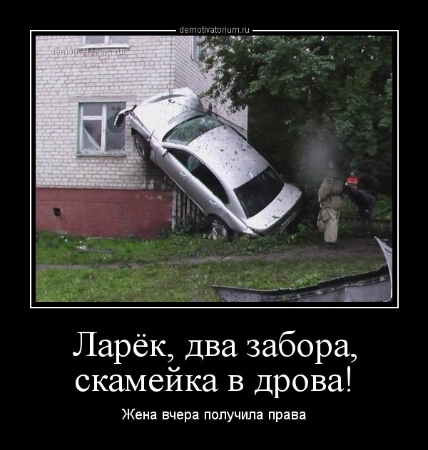 Получил права смешные картинки, такое счастье