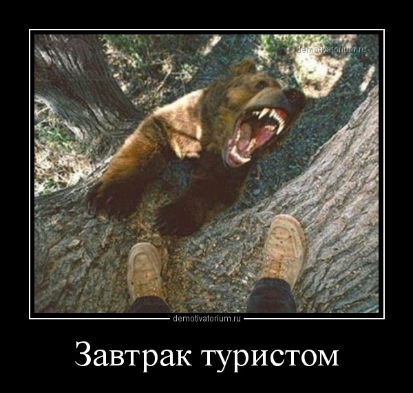 Завтрак туриста смешные картинки, смешные для