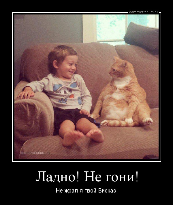 Стихи любимой, не гони прикольные картинки