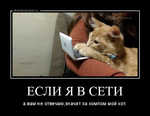 Демотиватор «ЕСЛИ Я В СЕТИ а вам не отвечаю,значит за компом мой кот.»