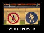 Демотиватор WHITE POWER 