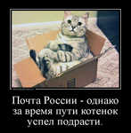Демотиватор Почта России - однако за время пути котенок успел подрасти. 