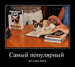 Демотиватор Самый популярный  кот и его книга - 2015-3-21