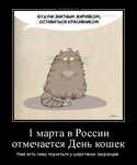 Демотиватор 1 марта в России отмечается День кошек Нам есть чему поучиться у шерстяных засранцев: