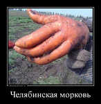 Демотиватор Челябинская морковь 