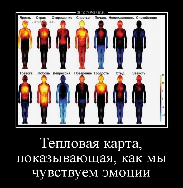Тепловая карта эмоций
