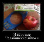 Демотиватор И суровые Челябинские яблоки 