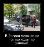 Демотиватор В России медведи не только ходят по улицам! 
