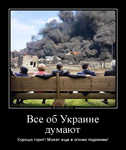 Демотиватор «Все об Украине думают Хорошо горит! Может еще в огонек подкинем!»