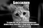 Демотиватор Бессилие То чувство, когда перепробовал все известные способы, а твой друг все равно грустит!