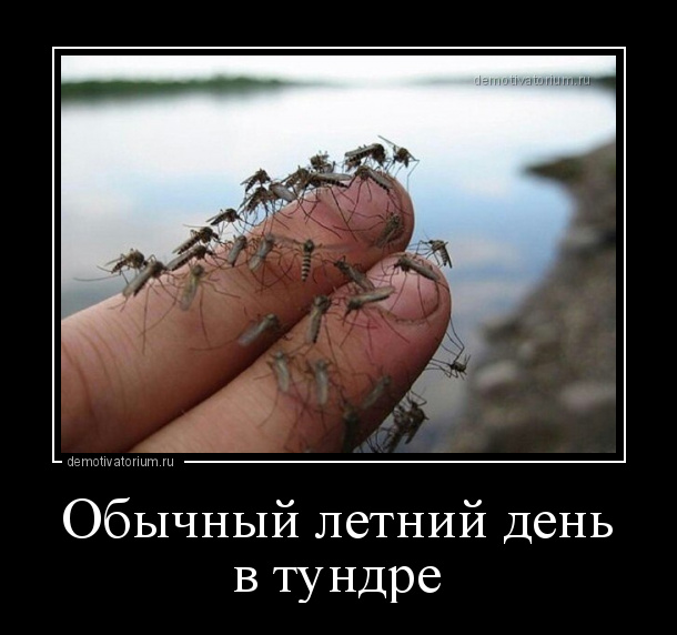 Может быть в обычном