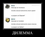 Демотиватор ДИЛЕММА 