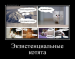 Демотиватор Экзистенциальные котята 