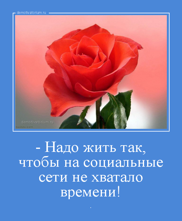 Никто не знает как правильно жить поэтому живите в свое удовольствие картинки