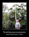 Демотиватор Челябинская клещевина длинна линейки в руке 1,2 метра