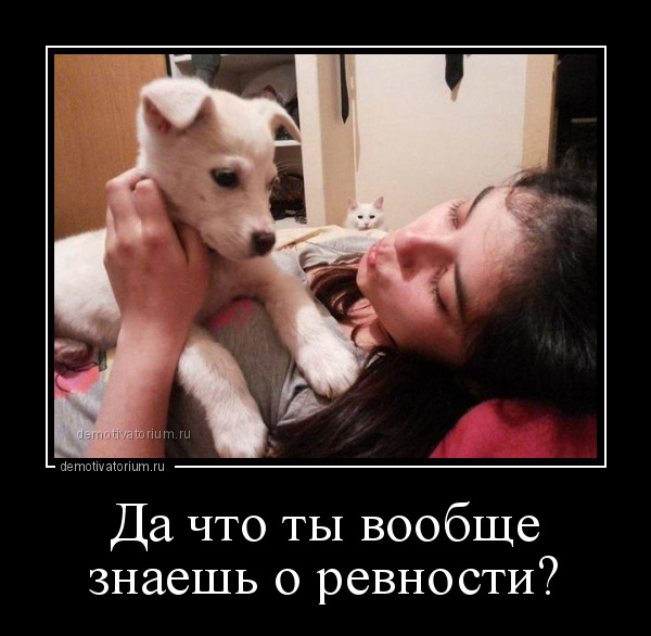 демотиватор Да что ты вообще знаешь о ревности?  - 2015-10-18