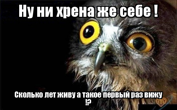 Картинка нифига себе