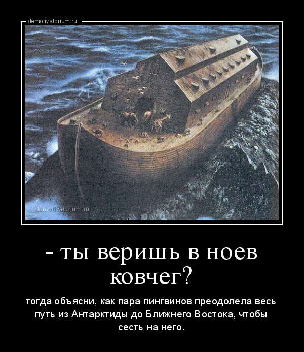 Ной не ныл и ты не ной картинка