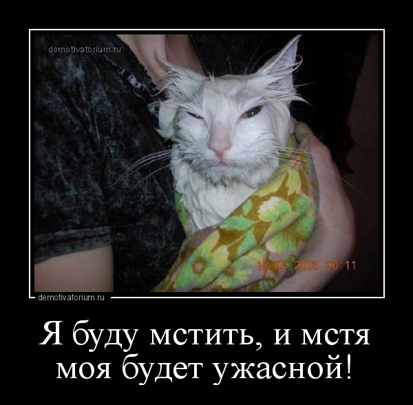 И мстя моя будет страшна картинка