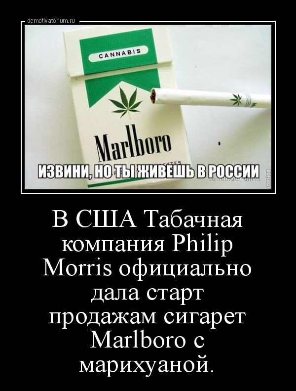 сигареты с марихуаной philip morris