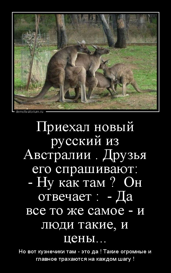 демотиватор Приехал новый русский из Австралии . Друзья его спрашивают: - Ну как там ? Он отвечает : - Да все то же самое - и люди такие, и цены... Но вот кузнечики там - это да ! Такие огромные и главное трахаются на каждом шагу ! - 2016-3-18