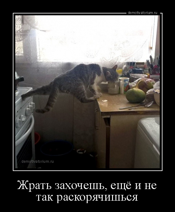 Захочешь жить не так раскорячишься картинка