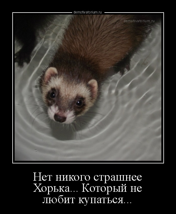 Не будут страшны ни. Не будут страшны ни