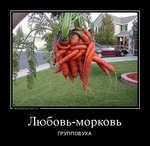 Демотиватор Любовь-морковь ГРУППОВУХА