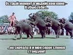 Демотиватор Острый момент в индийском кино: - Я убью тебя!... ...но сначала я и мои сорок слонов станцуем!