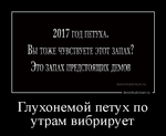 Демотиватор Глухонемой петух по утрам вибрирует  - 2016-11-04
