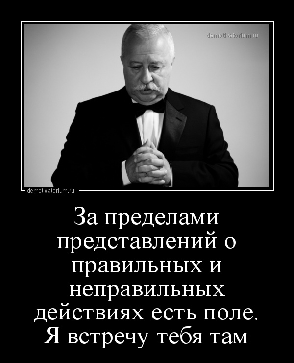 демотиватор За пределами представлений о правильных и неправильных действиях есть поле. Я встречу тебя там  - 2017-4-02