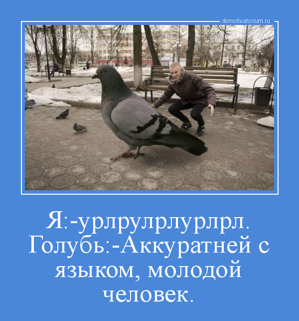 Поаккуратней с языком