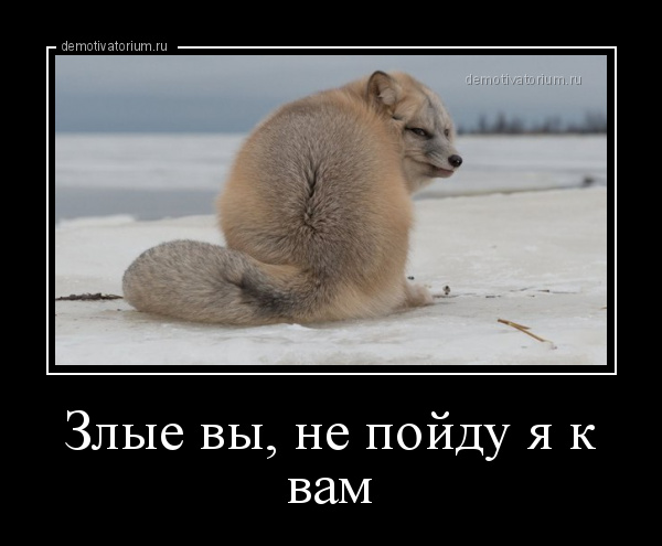 Злые вы уйду от вас картинка
