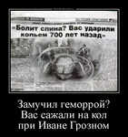 Демотиватор «Замучил геморрой? Вас сажали на кол при Иване Грозном »