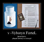 Демотиватор v -Vyboryn ForteL Делай фото, убирай галочку v и голосуй! - 2018-3-13