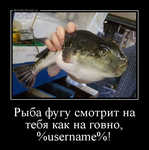 Демотиватор Рыба фугу смотрит на тебя как на говно, %username%! 