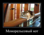 Демотиватор «Монорельсовый кот »