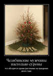 Демотиватор Челябинские мужчины настолько суровы что обходятся одним растением на праздники всего года