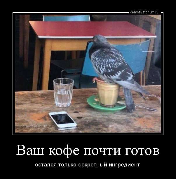 Кофейный голубь